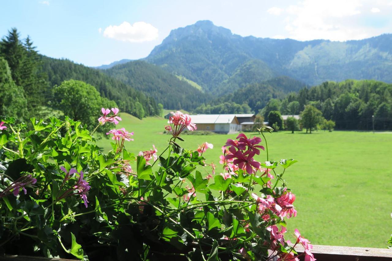 Ferienwohnung Gästehaus Wasserburger Kernhof Exterior foto